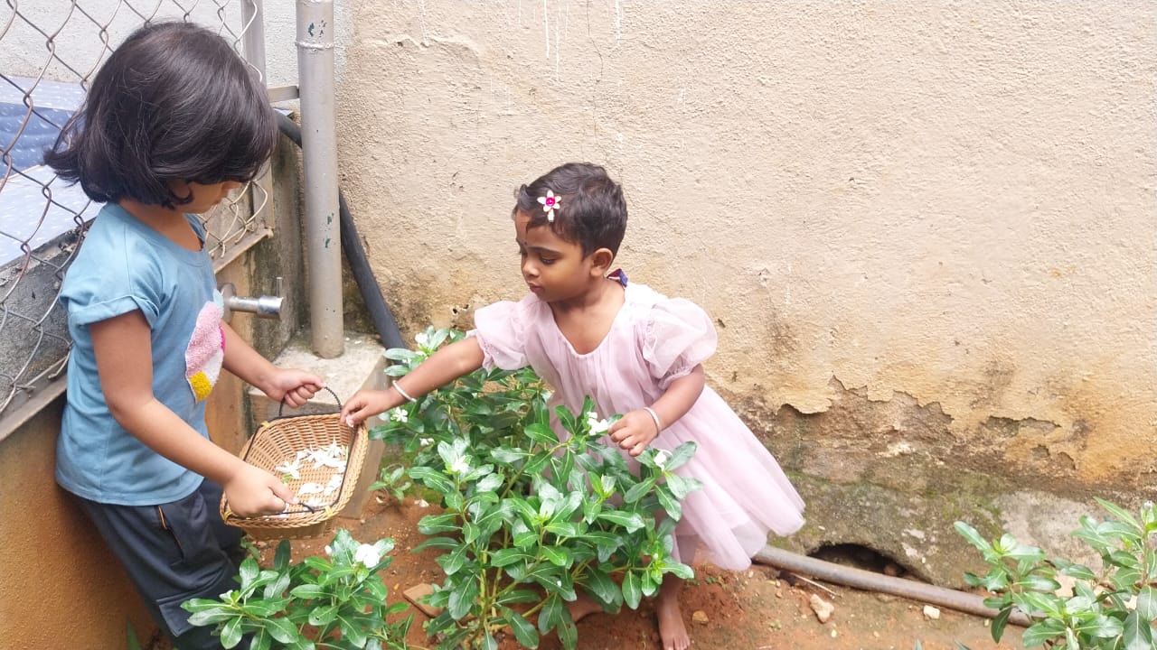 Gardening