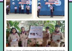 INTERNATIONAL ASTEROID DAY